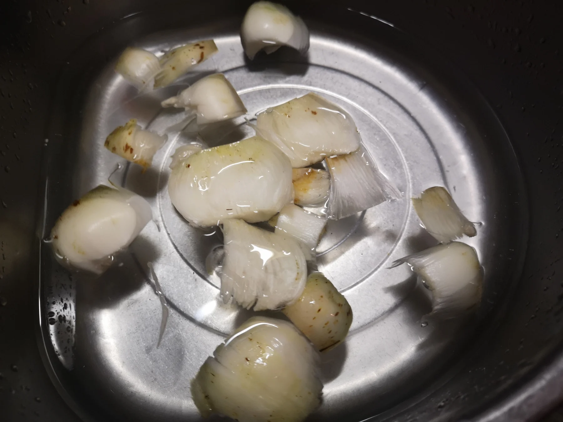 オオウバユリの鱗片を水にさらす