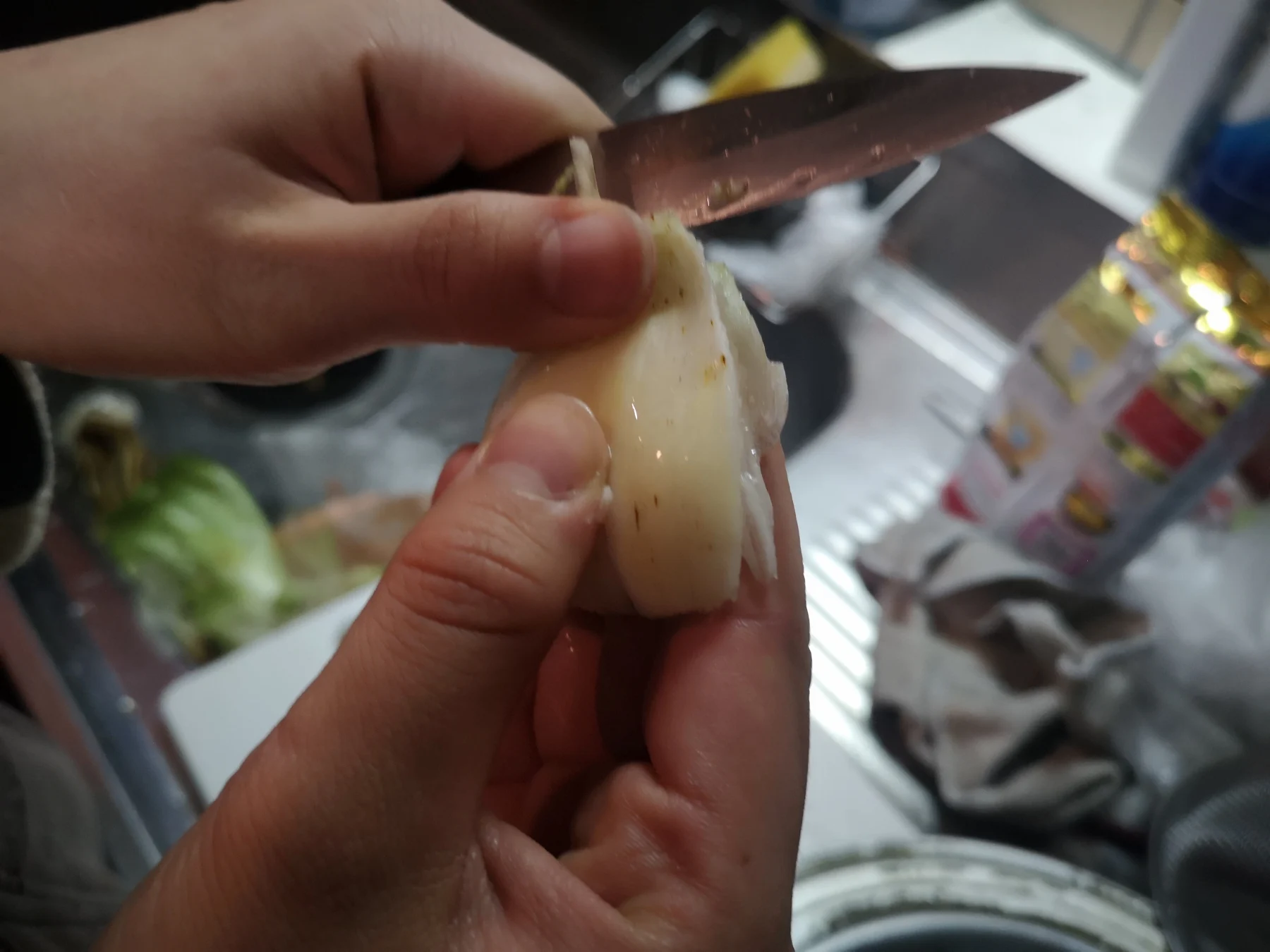 オオウバユリの鱗片のトリミング