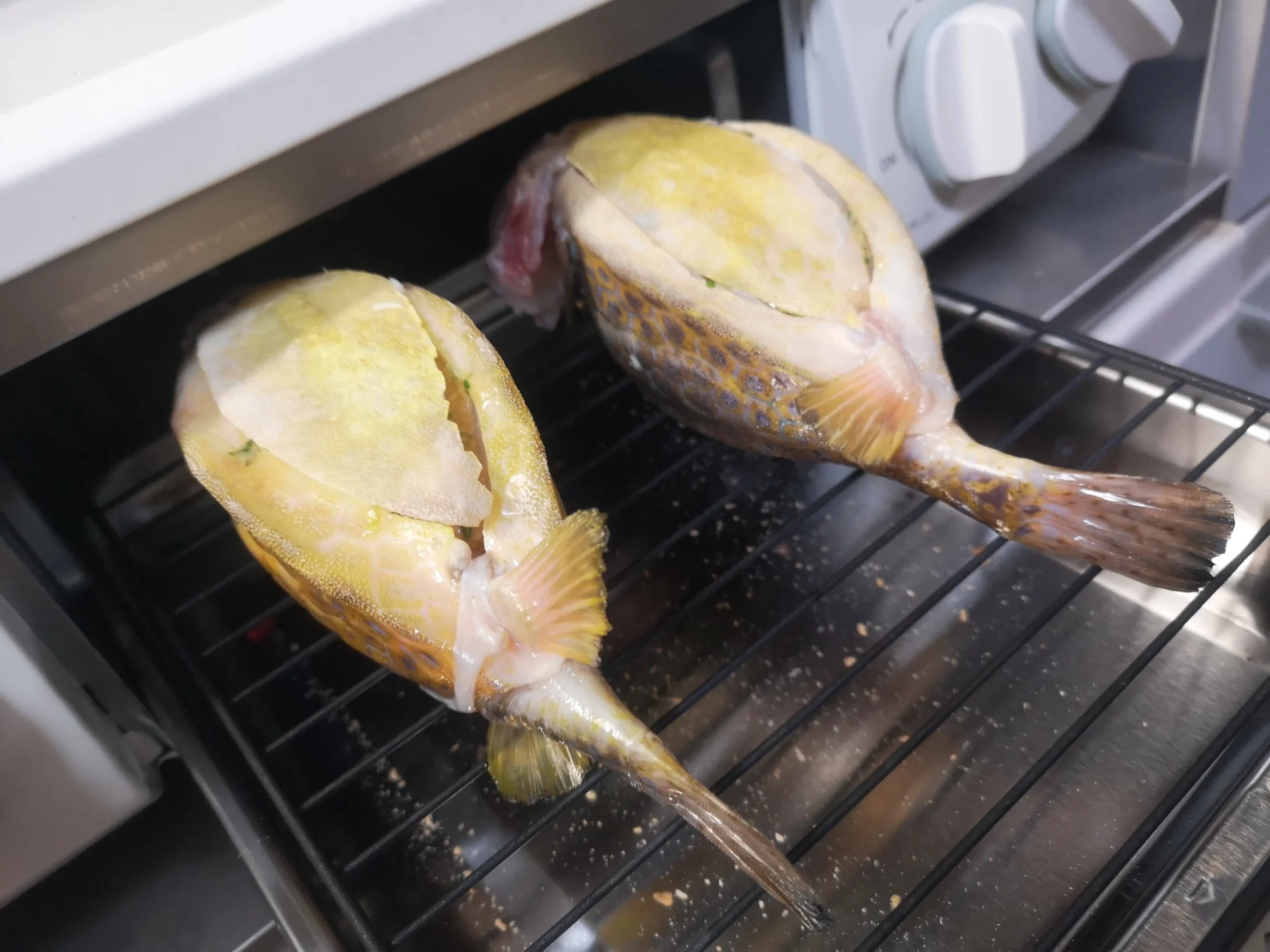 焼く前のかっとっぽ
