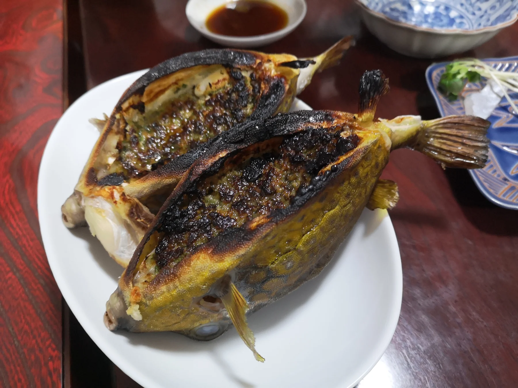 ハコフグを味噌焼き「かっとっぽ」で食べる【禁断のうまさ】
