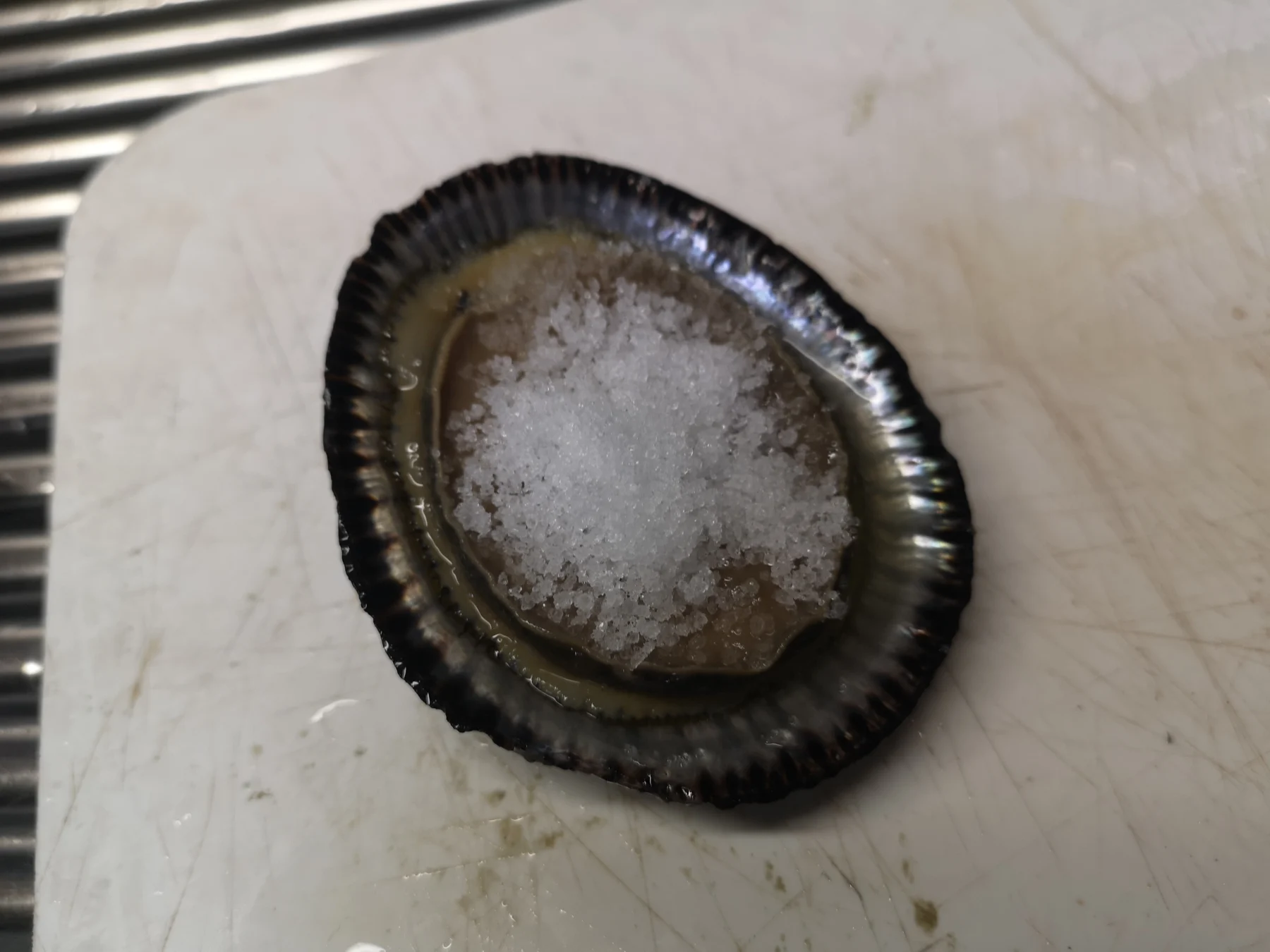 マツバガイに塩を載せる