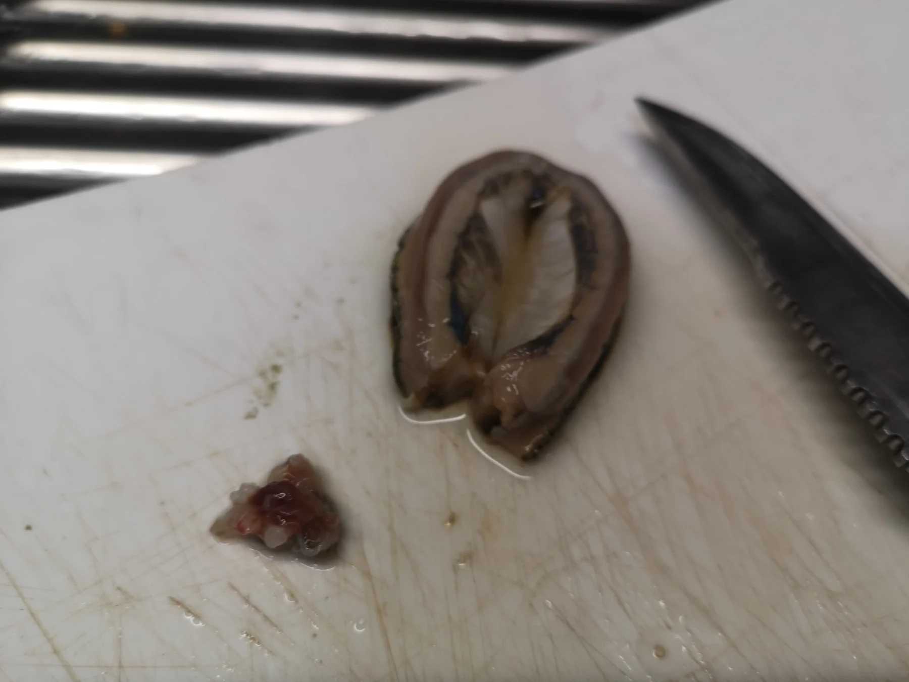 マツバガイの口を除去する様子